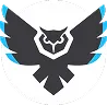 Black Owls logo